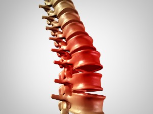 Cervical spine300x225
